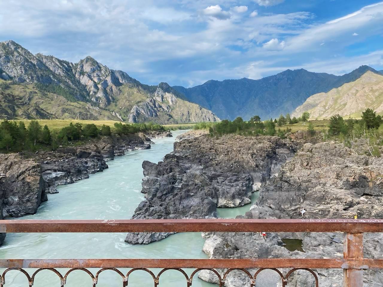 5305336620309485216 (1).jpg